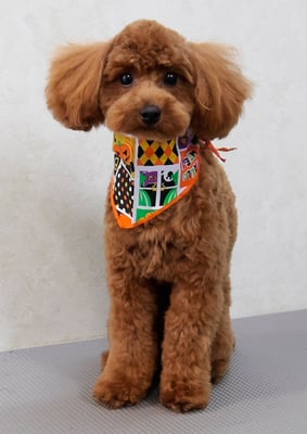 森田諭吉ちゃん