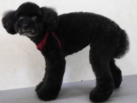 中井ヒナちゃん