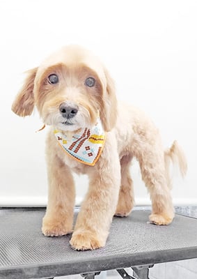 松尾かいちゃん