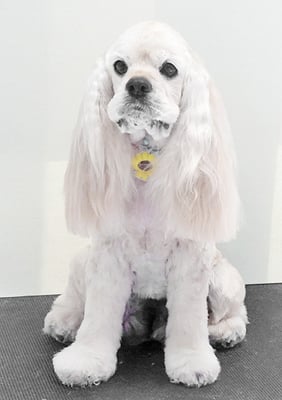 福富ベリーちゃん