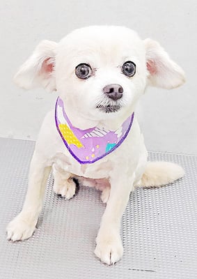 酒井ヒナちゃん