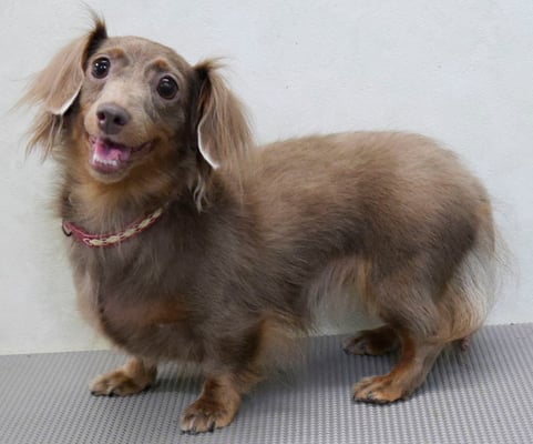 瀬戸口イザベラちゃん