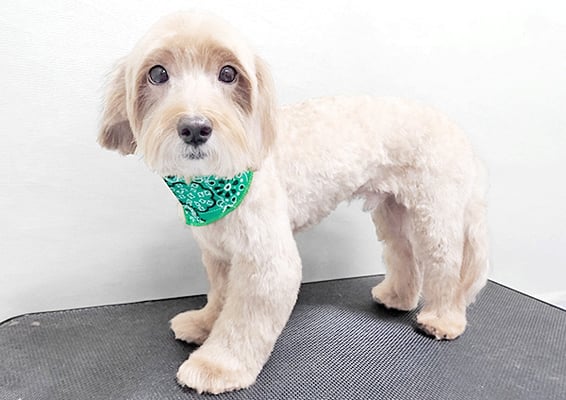 松尾かいちゃん