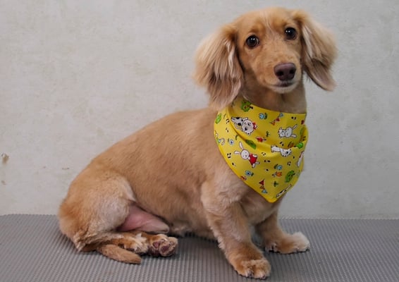 片山マルルちゃん