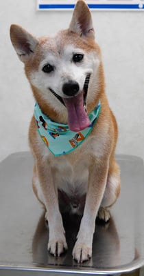 有馬コタロウちゃん