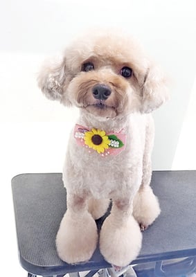 玉利ココちゃん