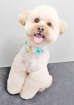 藤久保くうたちゃん