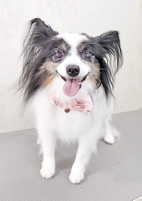 黒瀬ランちゃん