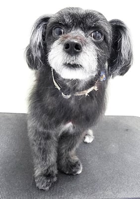 濵田リヨンちゃん