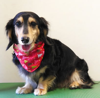 湯田モモちゃん