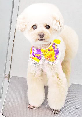 山村レオンちゃん