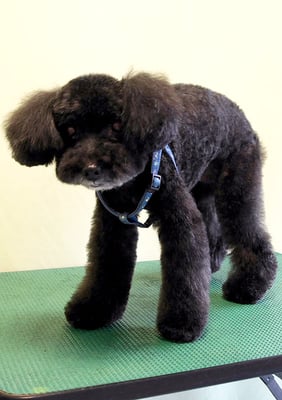 中井ヒナちゃん