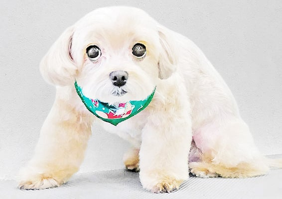 永濱サラちゃん