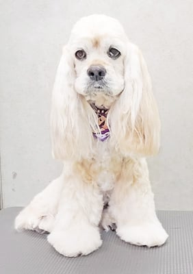 福富ベリーちゃん