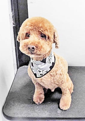 山元風介ちゃん