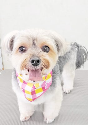 有馬まりんちゃん