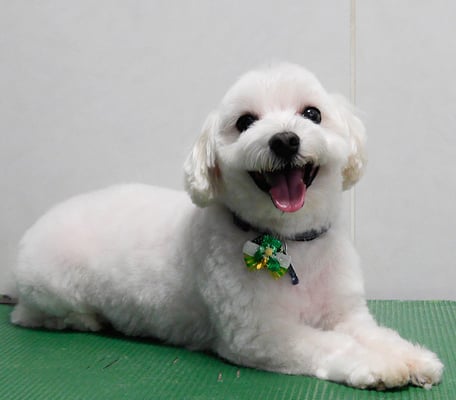 山口フウタちゃん