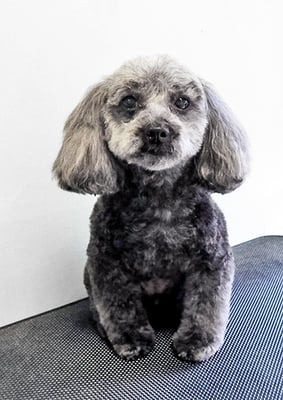 森崎ラブちゃん