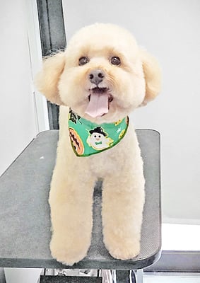 藤久保くうたちゃん