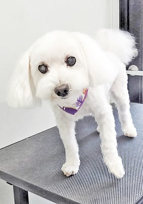 山口ふうたちゃん