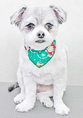 牧口モコちゃん