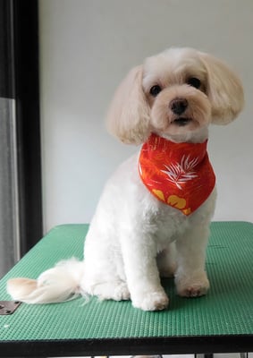 濱島クレアちゃん