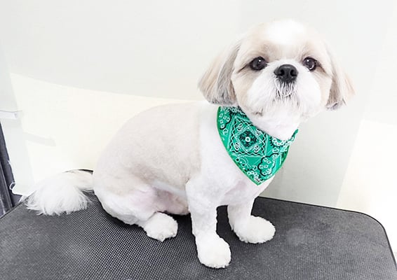 榊原もちちゃん