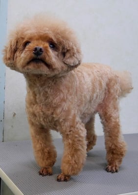 佐藤クルミちゃん