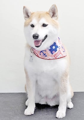 小村ゆずちゃん