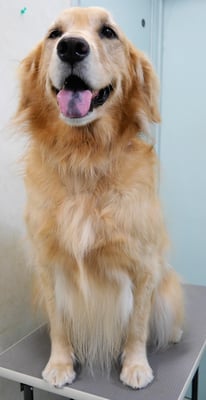 菊川チェリーちゃん