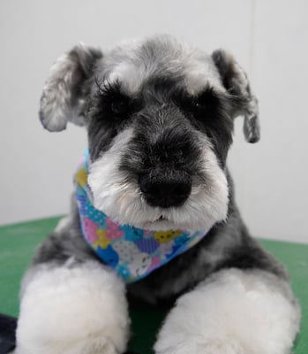 徳地ティアちゃん