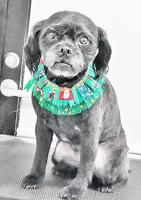 徳田あずきちゃん