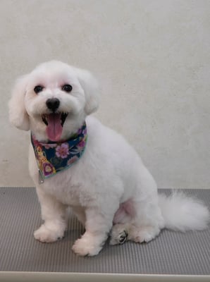 山口フウタちゃん