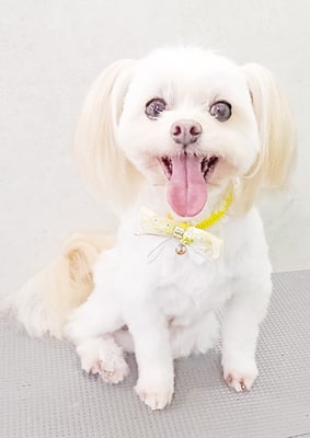 大脇ココアちゃん