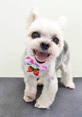 岡元ベリーちゃん