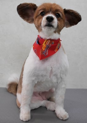 玉利ゆずちゃん