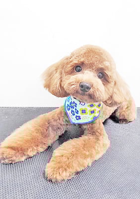 坂元むぎちゃん