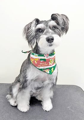 迫田プーちゃん