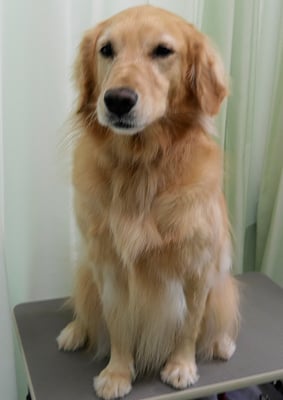 菊川チェリーちゃん