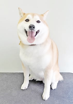 小村ゆずちゃん