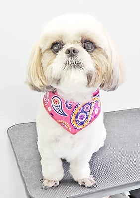 久永ナルちゃん