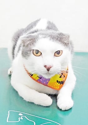 中江パルちゃん