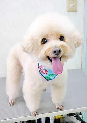 松田めろんちゃん