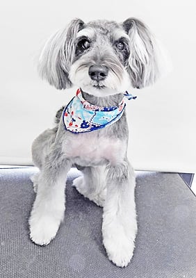 糸山そらちゃん