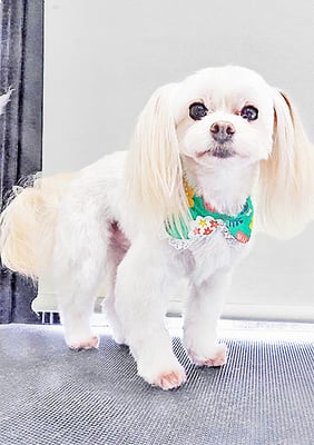 大脇ココアちゃん