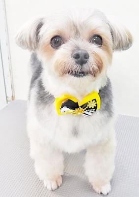 有馬まりんちゃん