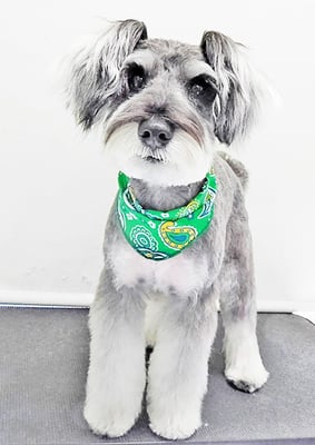 糸山そらちゃん