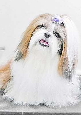 眞邉モモちゃん