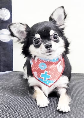 岩元ココちゃん