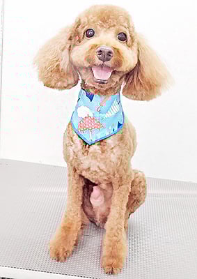 鶴虎太郎ちゃん